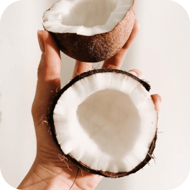 Sữa dừa / nước cốt dừa