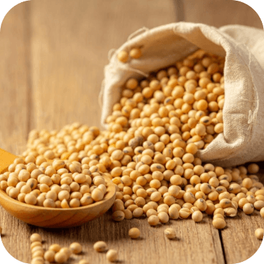 Đậu nành / đậu phụ